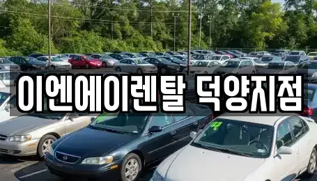 경기도 고양시 덕양구 원흥동 렌트카 전문 이엔에이렌탈 덕양지점