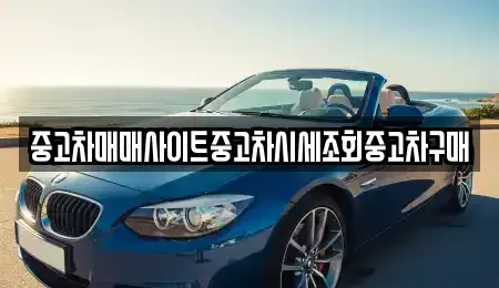 경기도 고양시 덕양구 원흥동 중고차 전문 중고차매매사이트중고차시세조회중고차구매