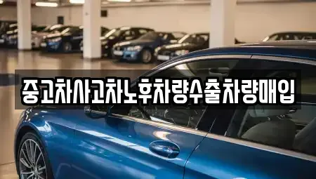 경기도 고양시 덕양구 원흥동 중고차 전문 중고차사고차노후차량수출차량매입