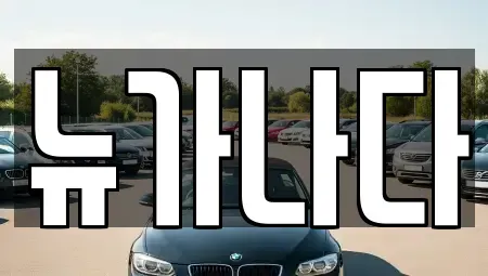 경기도 고양시 덕양구 행신동 렌트카 전문 뉴가나다