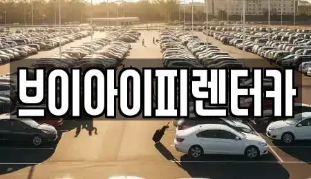 경기도 고양시 덕양구 행신동 렌트카 전문 브이아이피렌터카