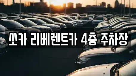 경기도 고양시 덕양구 행신동 렌트카 전문 쏘카 리베렌트카 4층 주차장