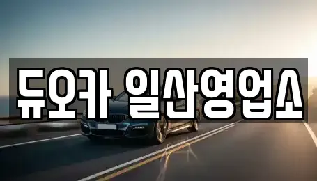 경기도 고양시 덕양구 행신동 장기렌트카 전문 듀오카 일산영업소