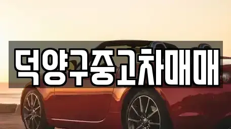 경기도 고양시 덕양구 행신동 중고차 전문 덕양구중고차매매