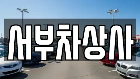 경기도 고양시 덕양구 행신동 중고차 전문 서부차상사