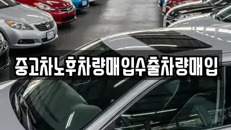 경기도 고양시 덕양구 행신동 중고차 전문 중고차노후차량매입수출차량매입