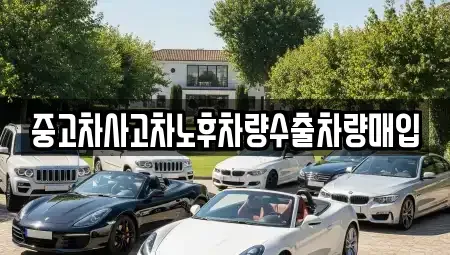 경기도 고양시 덕양구 행신동 중고차 전문 중고차사고차노후차량수출차량매입