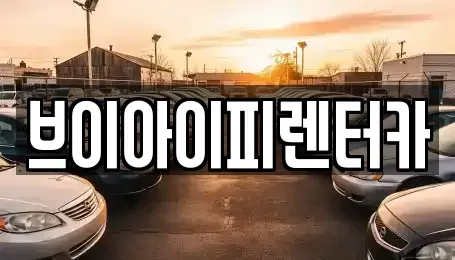 경기도 고양시 덕양구 행주내동 렌트카 전문 브이아이피렌터카