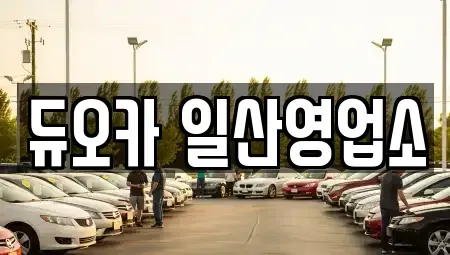 경기도 고양시 덕양구 행주내동 장기렌트카 전문 듀오카 일산영업소