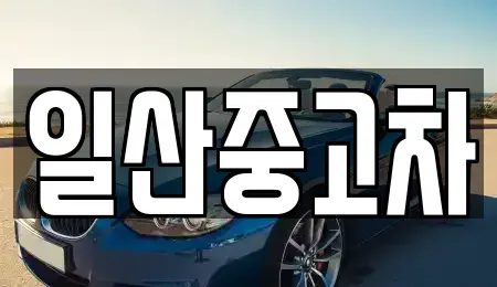 경기도 고양시 덕양구 행주내동 중고차 전문 일산중고차