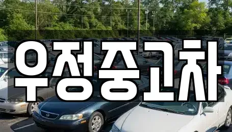 경기도 고양시 덕양구 행주내동 중고차매매 전문 우정중고차