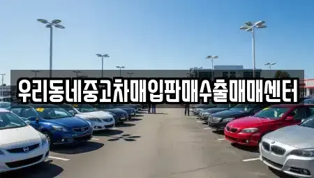 경기도 고양시 덕양구 행주내동 중고차매입 전문 우리동네중고차매입판매수출매매센터