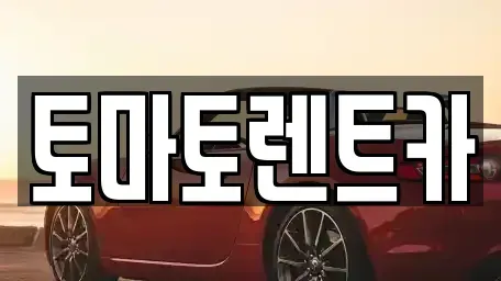 경기도 광주시 곤지암읍 렌트카 전문 토마토렌트카