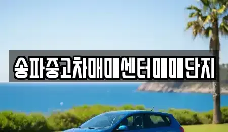 경기도 광주시 곤지암읍 중고차매매 전문 송파중고차매매센터매매단지