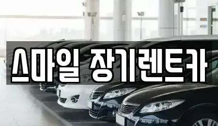경기도 광주시 삼동 장기렌트카 전문 스마일 장기렌트카