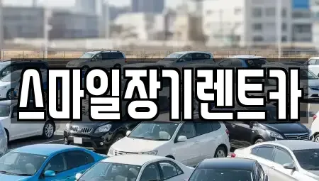경기도 광주시 삼동 장기렌트카 전문 스마일장기렌트카