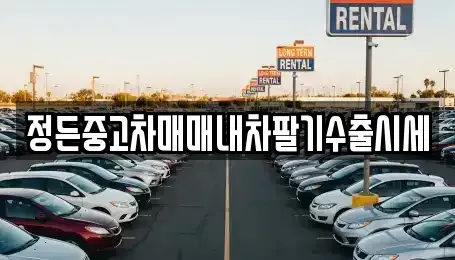 경기도 광주시 삼동 중고차매매 전문 정든중고차매매내차팔기수출시세