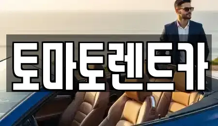 경기도 광주시 양벌동 렌트카 전문 토마토렌트카