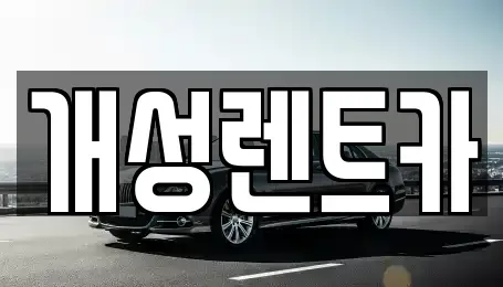 경기도 부천시 오정구 작동 렌트카 전문 개성렌트카