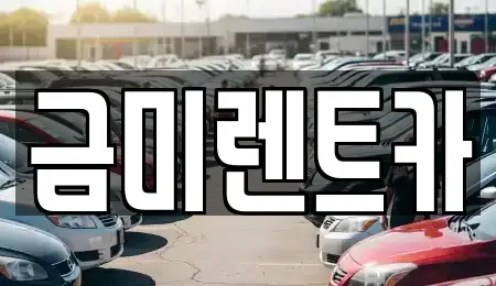 경기도 부천시 오정구 작동 렌트카 전문 금미렌트카