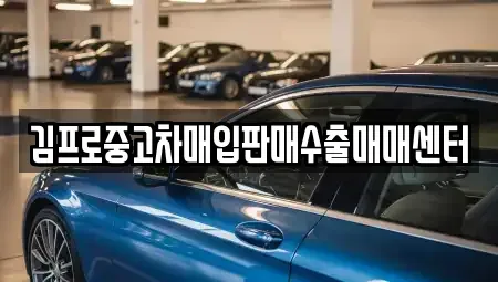 경기도 부천시 오정구 작동 중고차매입 전문 김프로중고차매입판매수출매매센터