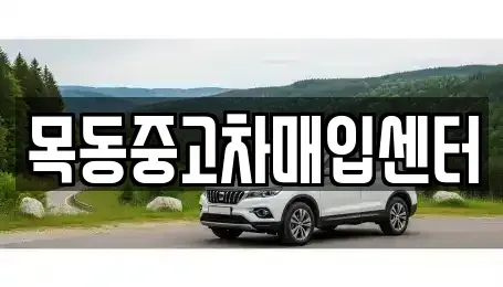 경기도 부천시 오정구 작동 중고차매입 전문 목동중고차매입센터
