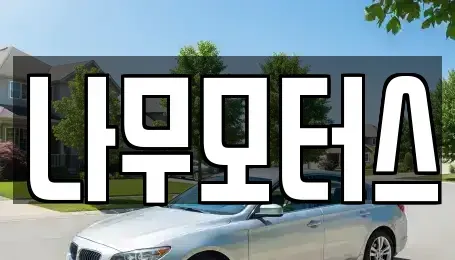 경기도 부천시 원미구 중고차 전문 나무모터스