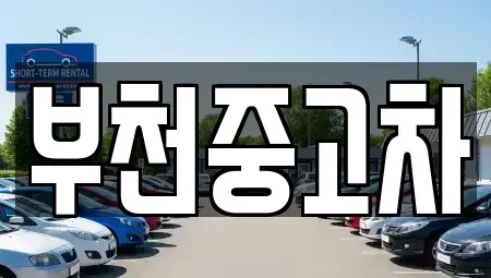 경기도 부천시 원미구 중고차 전문 부천중고차