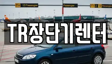 경기도 성남시 수정구 단기렌트카 전문 TR장단기렌터