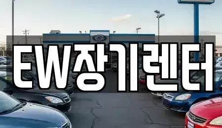 경기도 성남시 수정구 장기렌트카 전문 EW장기렌터