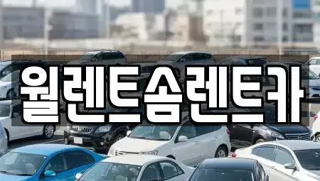 경기도 수원시 권선구 입북동 렌트카 전문 월렌트솜렌트카