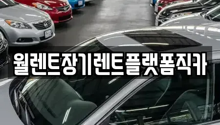 경기도 수원시 권선구 입북동 렌트카 전문 월렌트장기렌트플랫폼직카