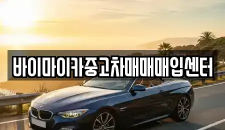 경기도 수원시 영통구 매탄동 중고차 전문 바이마이카중고차매매매입센터
