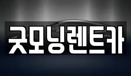 경기도 수원시 영통구 이의동 렌트카 전문 굿모닝렌트카