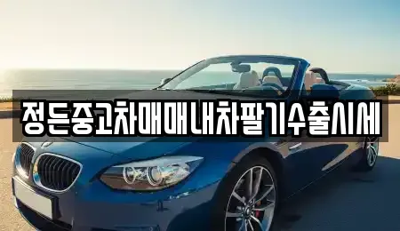 경기도 수원시 장안구 연무동 중고차매매 전문 정든중고차매매내차팔기수출시세