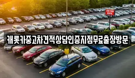 경기도 수원시 장안구 연무동 중고차매매 전문 캐롯카중고차견적상담인증지점무료출장방문