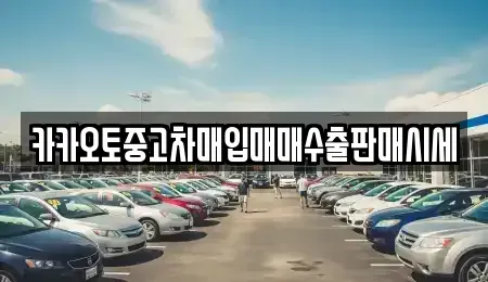 경기도 수원시 장안구 연무동 중고차매입 전문 카카오토중고차매입매매수출판매시세