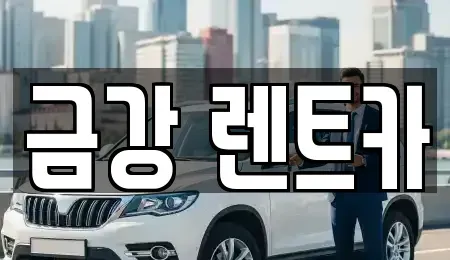 경기도 수원시 팔달구 남수동 렌트카 전문 금강 렌트카