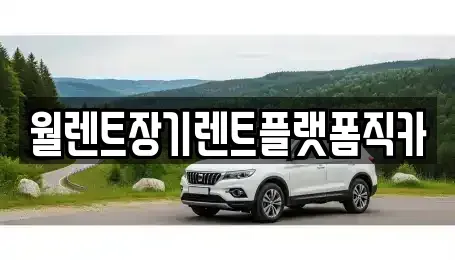 경기도 수원시 팔달구 남수동 장기렌트카 전문 월렌트장기렌트플랫폼직카