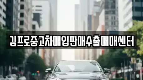 경기도 수원시 팔달구 남수동 중고차매입 전문 김프로중고차매입판매수출매매센터