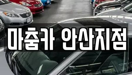 경기도 안산시 단원구 고잔동 단기렌트카 전문 마춤카 안산지점