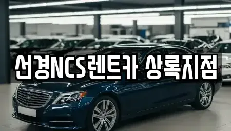 경기도 안산시 단원구 고잔동 단기렌트카 전문 선경NCS렌트카 상록지점