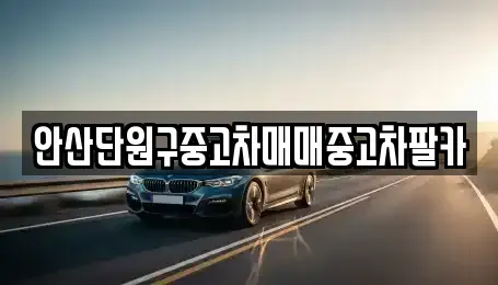 경기도 안산시 단원구 고잔동 중고차매매 전문 안산단원구중고차매매중고차팔카