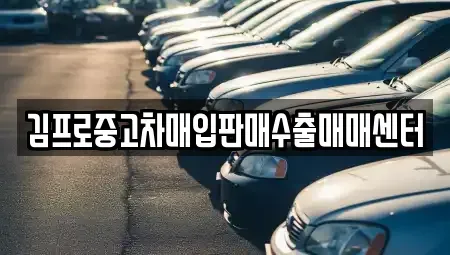 경기도 안산시 단원구 고잔동 중고차매입 전문 김프로중고차매입판매수출매매센터