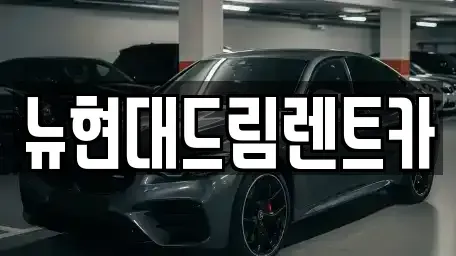 경기도 안산시 단원구 대부북동 렌트카 전문 뉴현대드림렌트카