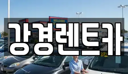 경기도 안산시 단원구 선부동 렌트카 전문 강경렌트카