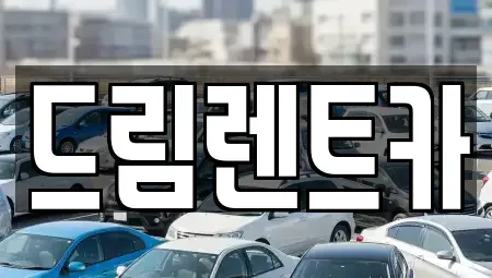경기도 안산시 단원구 선부동 렌트카 전문 드림렌트카