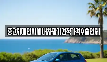 경기도 안산시 단원구 선부동 중고차 전문 중고차매입시세내차팔기견적가격수출업체