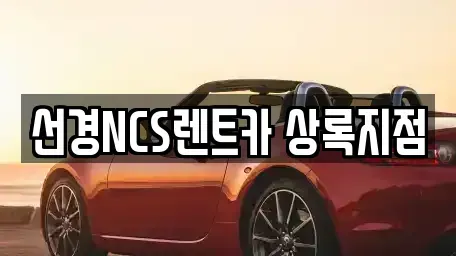 경기도 안산시 상록구 본오동 단기렌트카 전문 선경NCS렌트카 상록지점