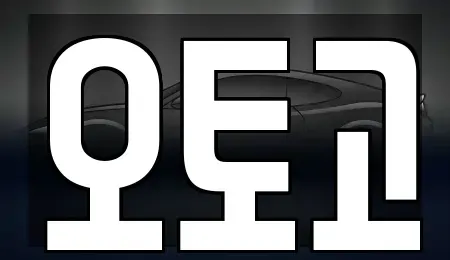 경기도 안산시 상록구 본오동 장기렌트카 전문 오토고